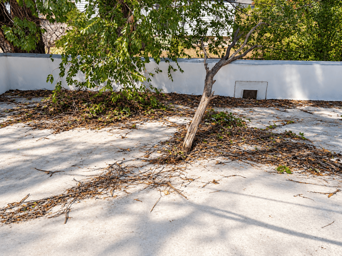 Should You Call a Roofer or Your Insurance Company First?